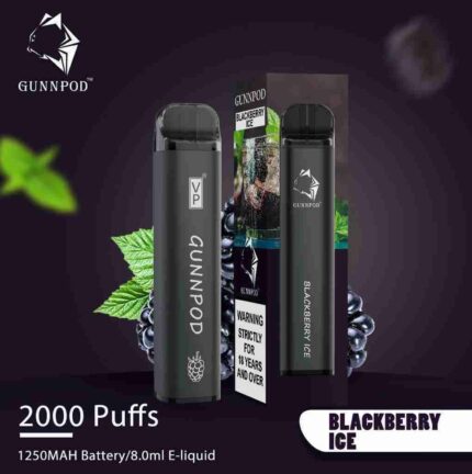Blackberry Ice-2000 Puffs